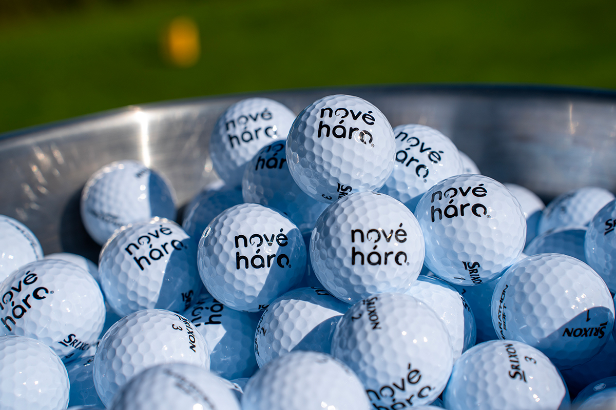 nove_haro_micky